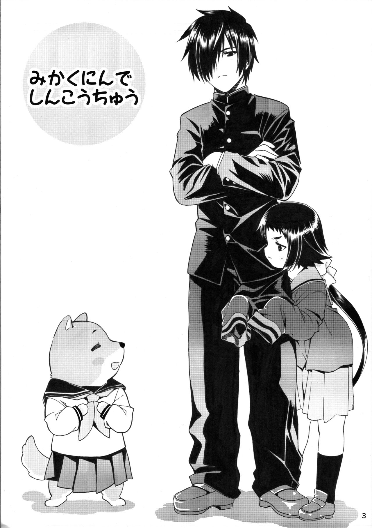 Preview page 2