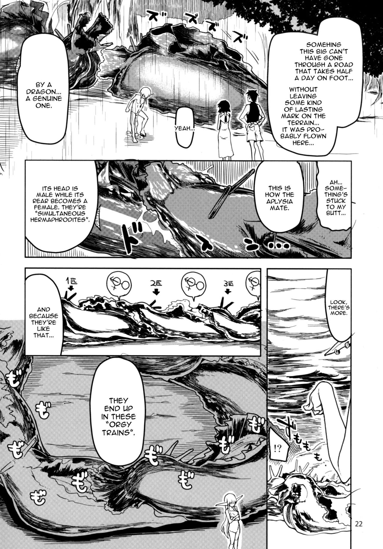 Dosukebe Elf no Ishukan Nikki 4 - Page 23