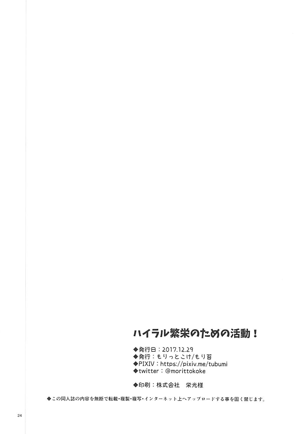 Hyrule Hanei no Tame no Katsudou! - Page 25