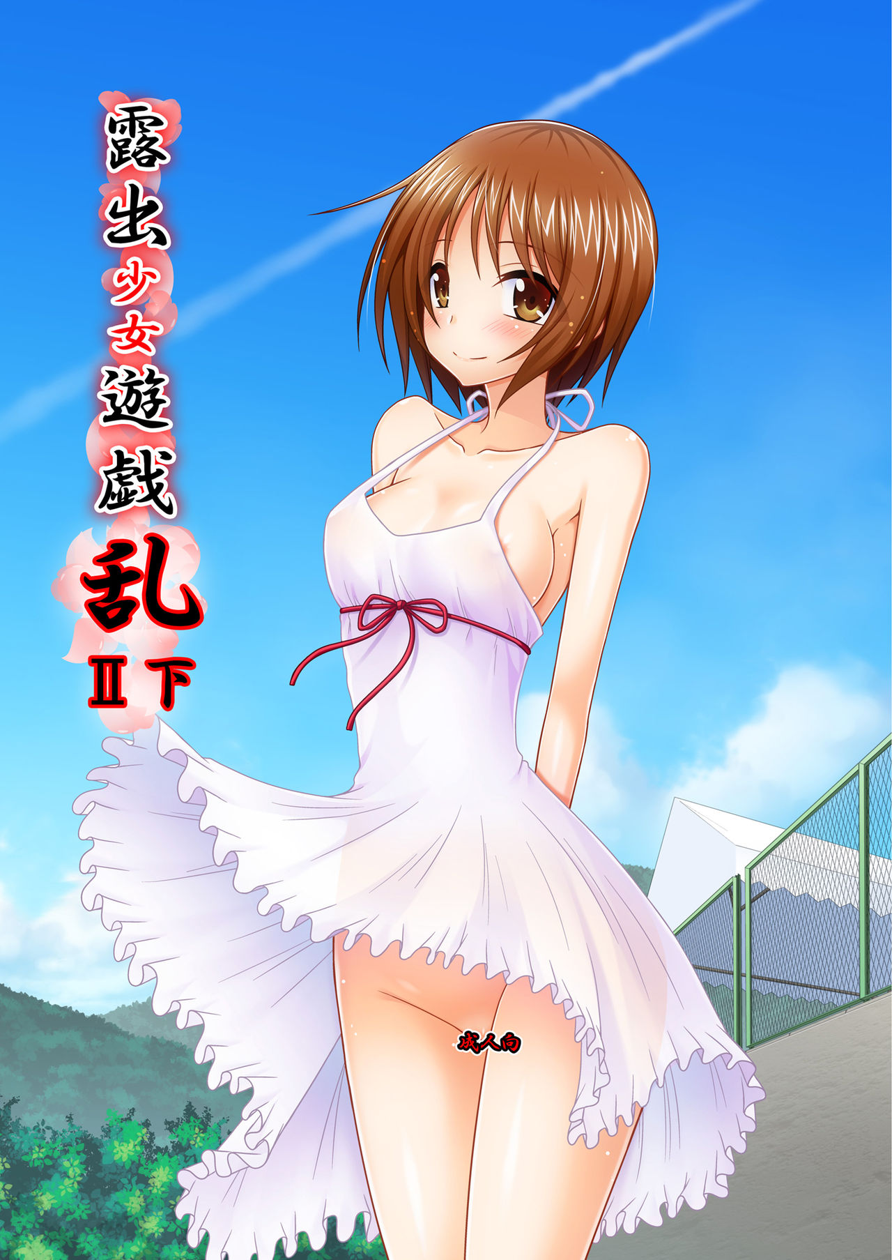 Preview page 1