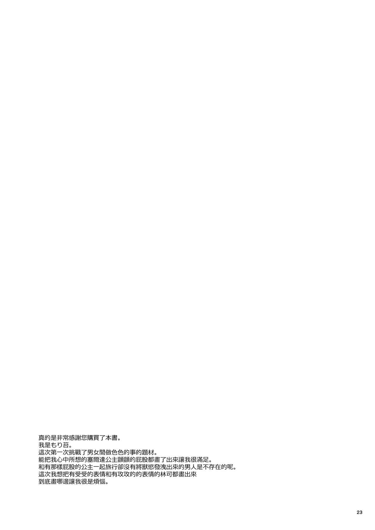 Hyrule Hanei no Tame no Katsudou! - Page 25