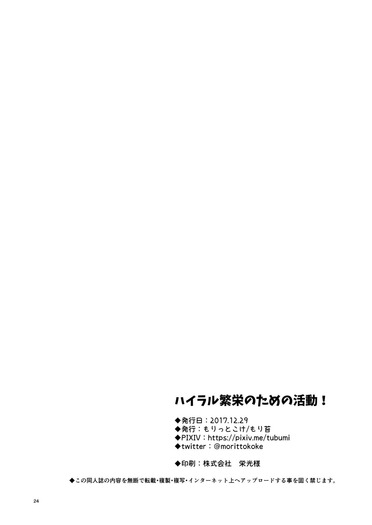 Hyrule Hanei no Tame no Katsudou! - Page 26