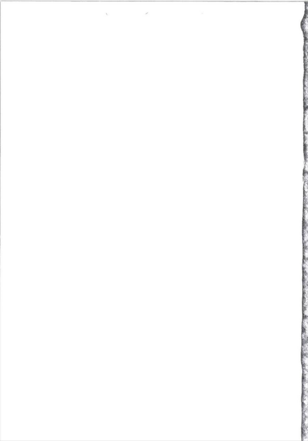 Omoinayande Yokorenbo - Page 33