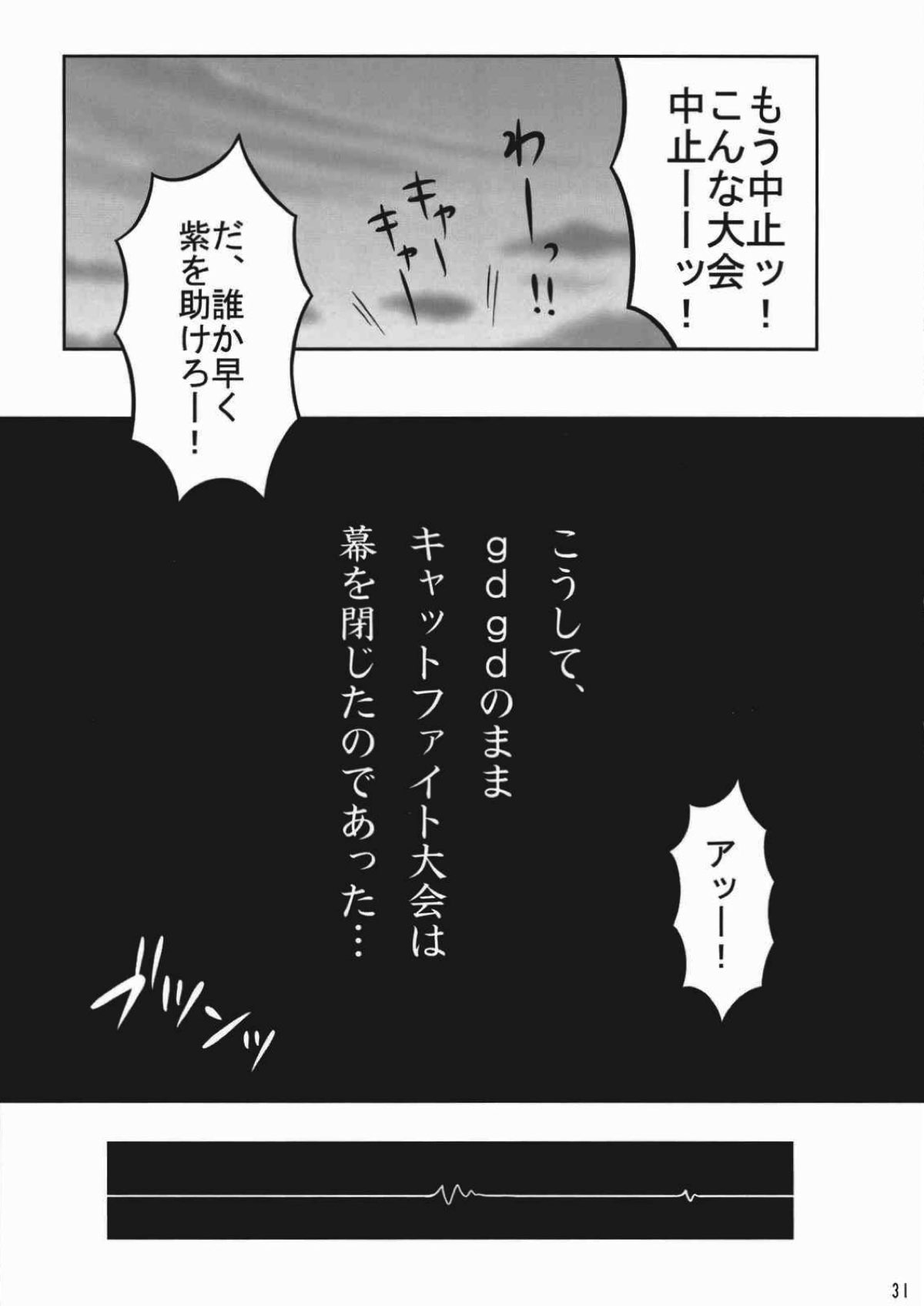 Touhou Catfight IV - Page 29