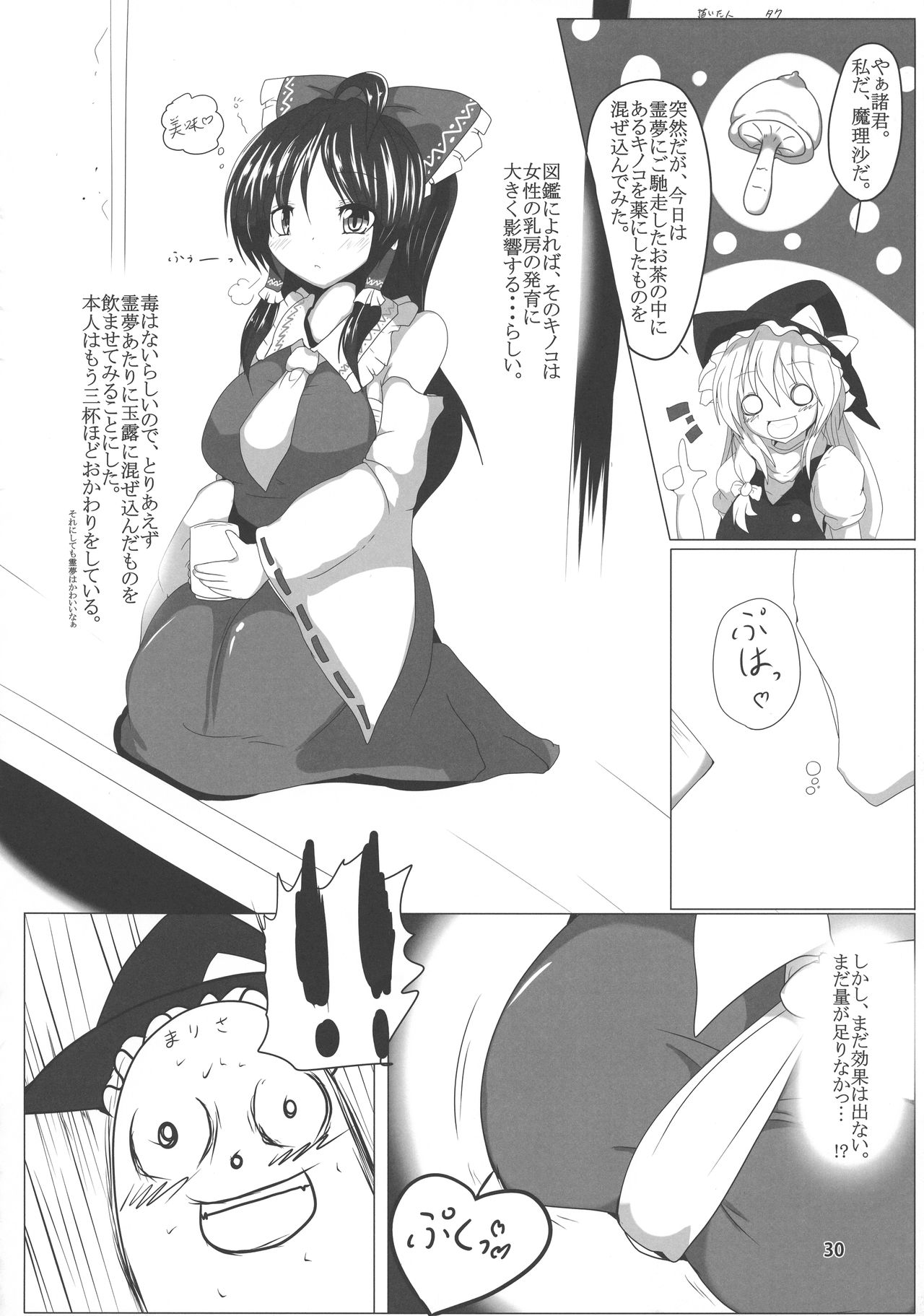 Touhou Bounyuu Kobitan - Page 29