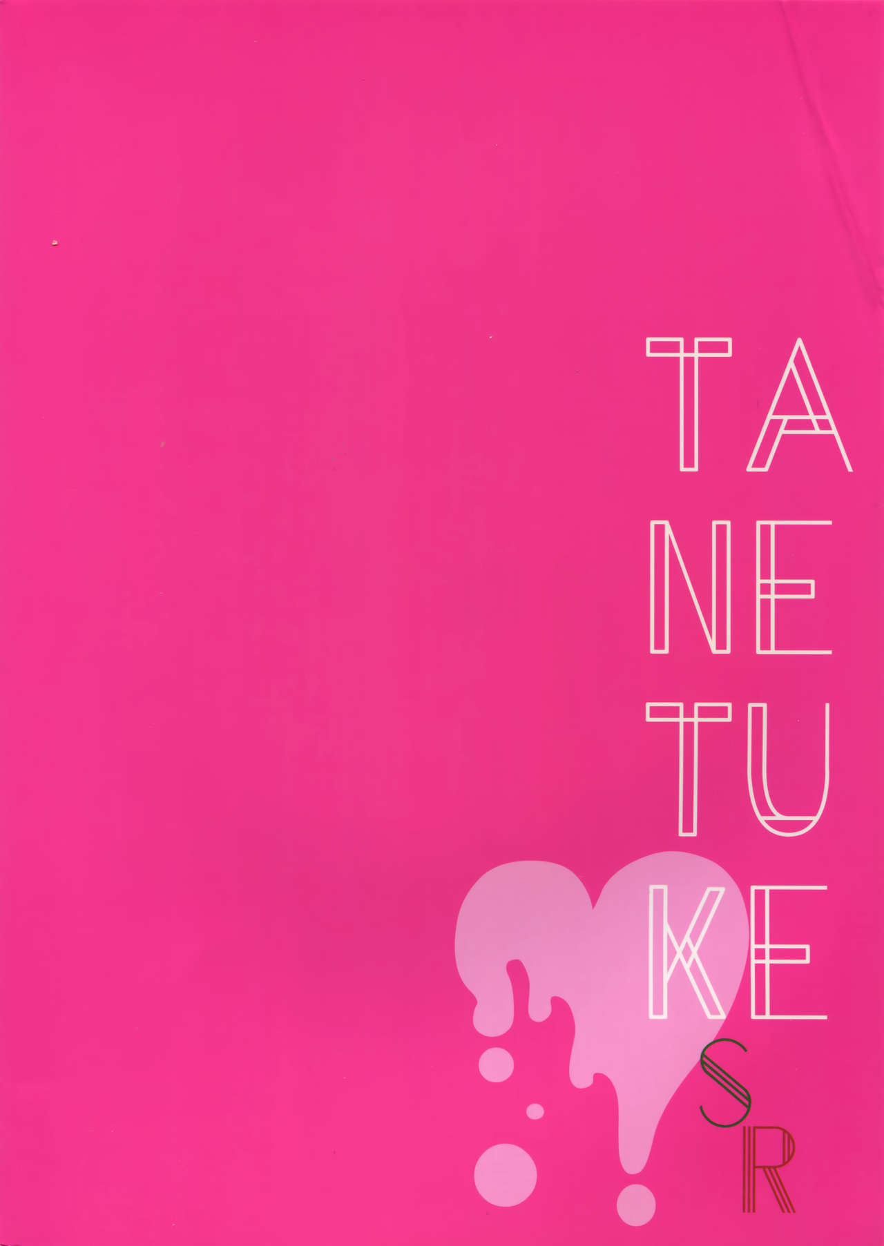 TANETUKE SR - Page 22