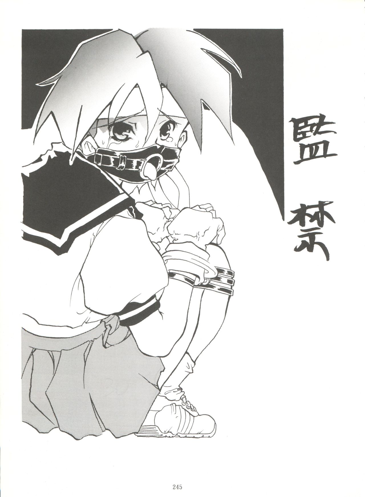 Kage no Nan Demo-R - Page 245