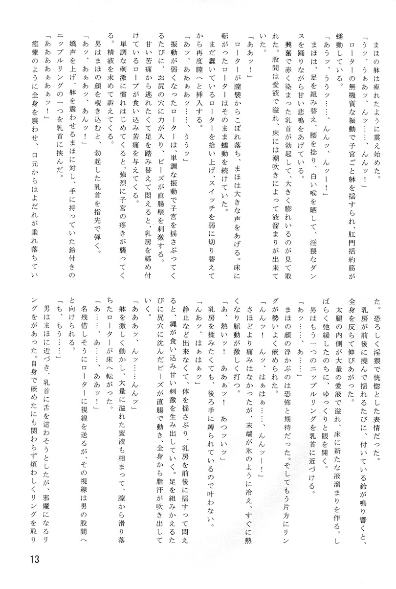 Himitsu no Nishizumi-ryuu - Page 14