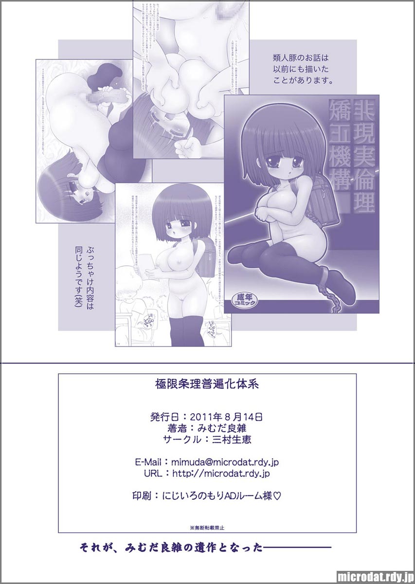 極限条理普遍化体系 - Page 18