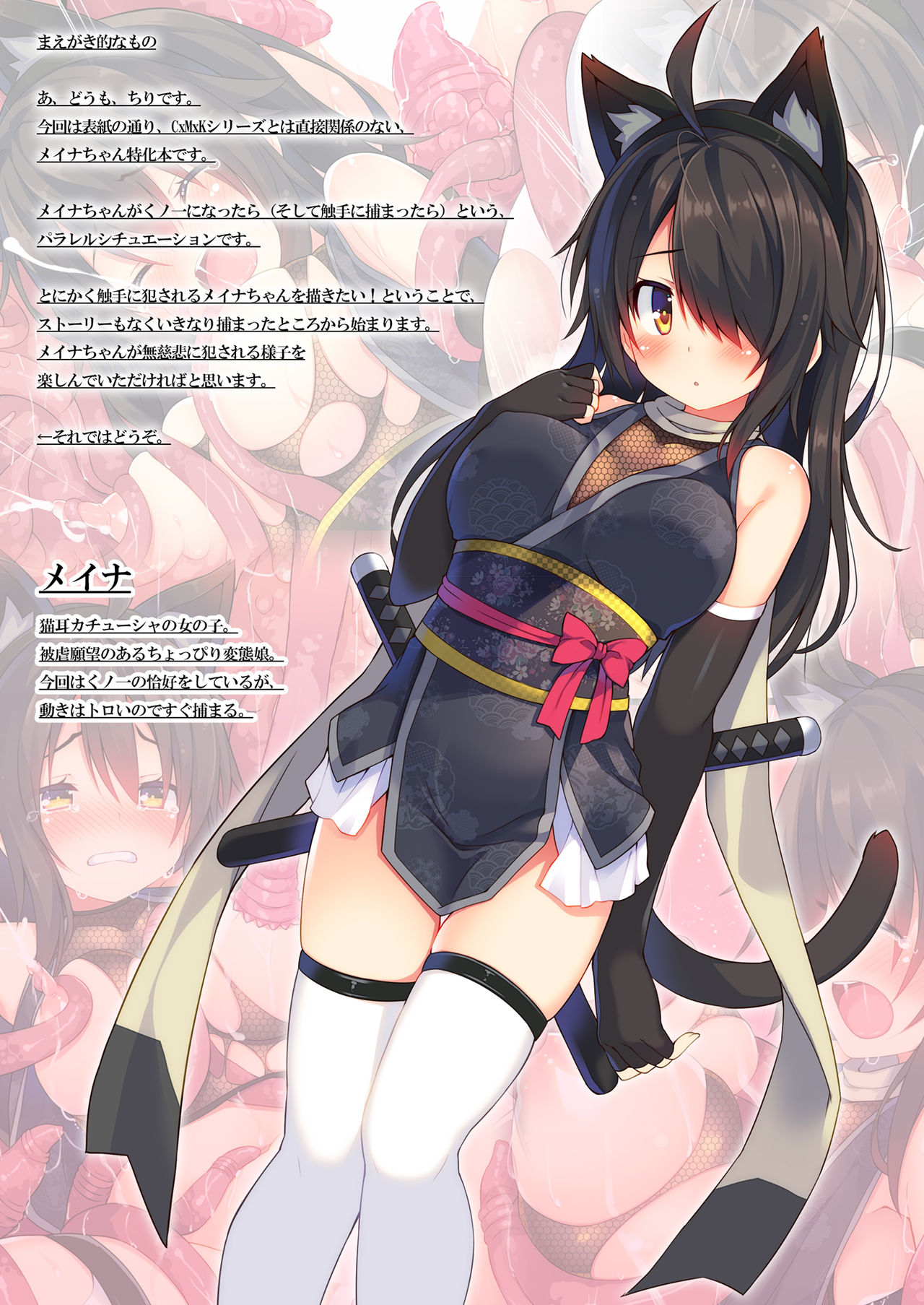Preview page 2