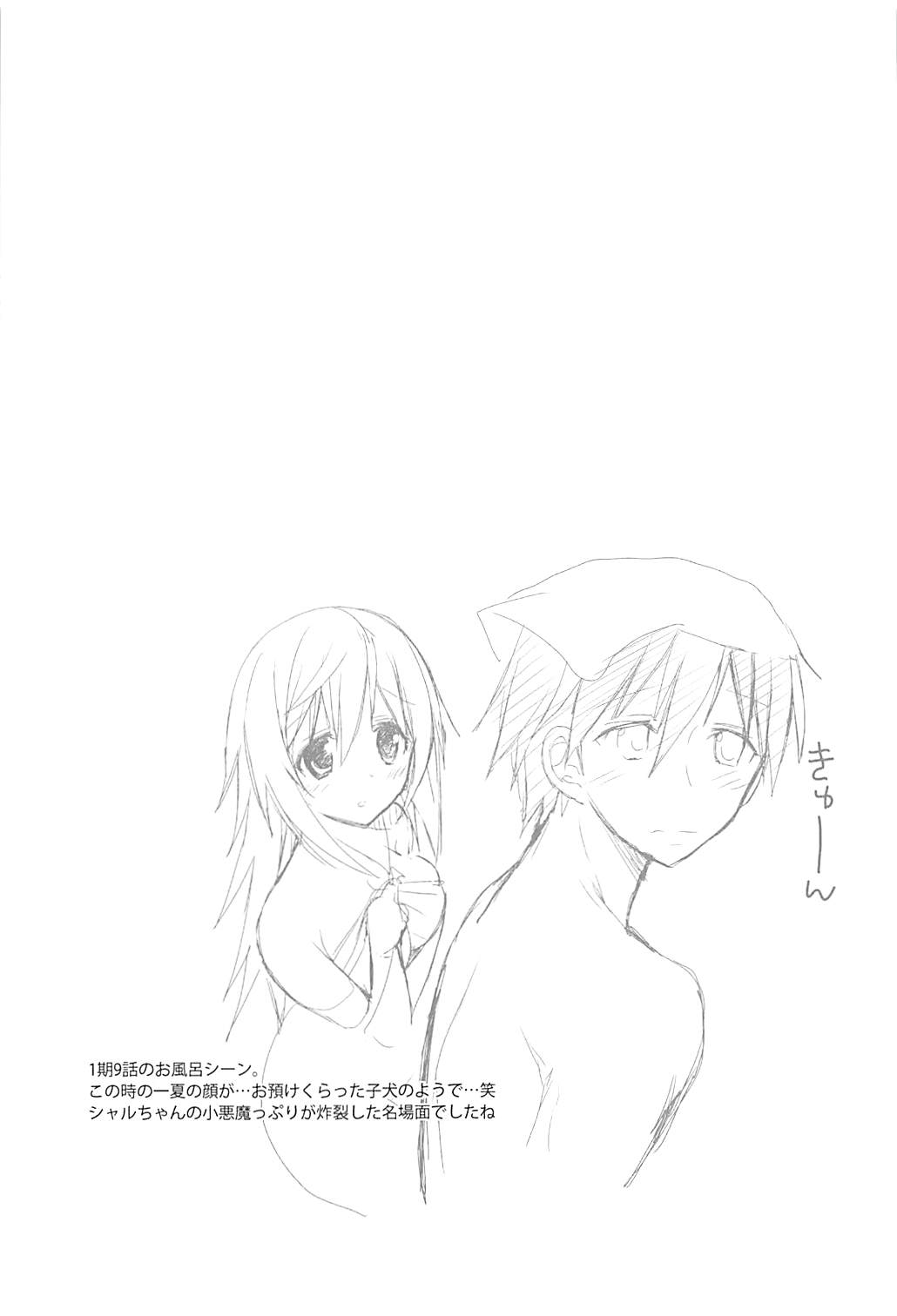 IS Soushuuhen - Page 159