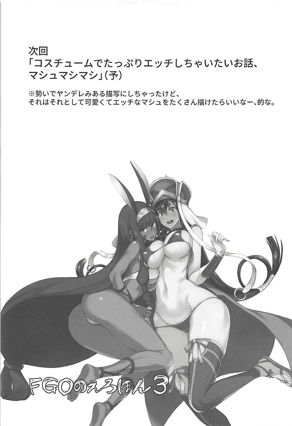 FGO no Erohon 3 - Page 22
