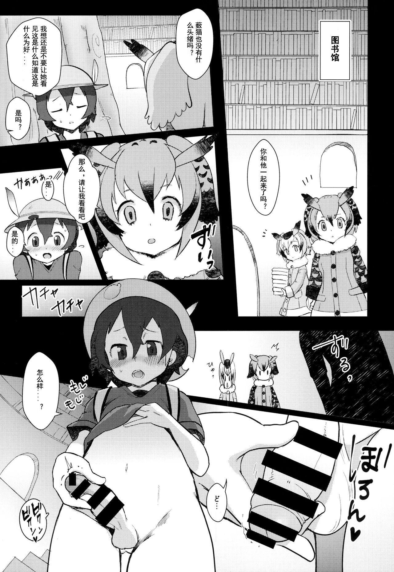 Preview page 4