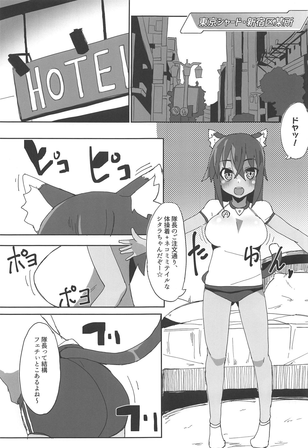 Preview page 2