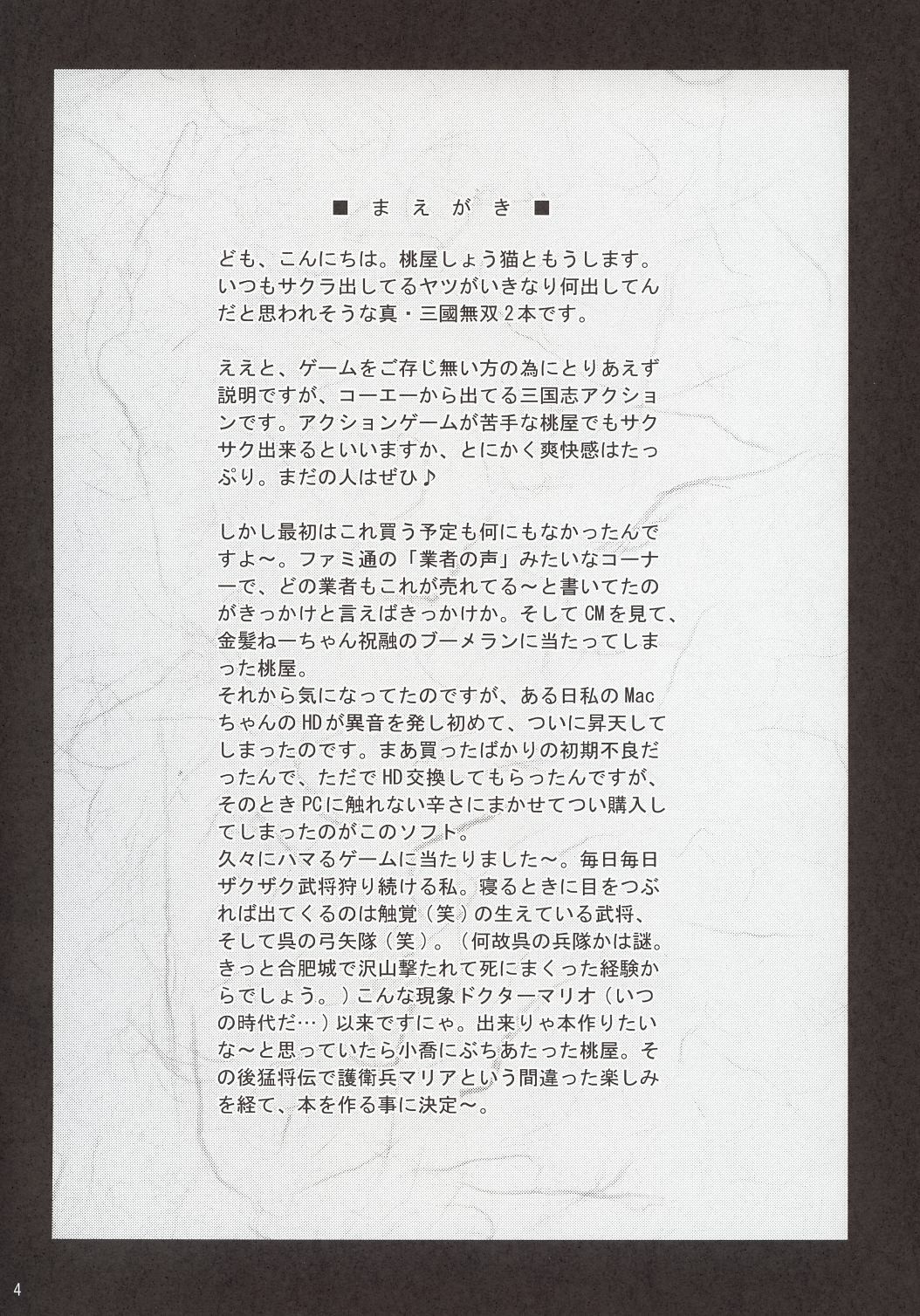 In Sangoku Musou - Page 3