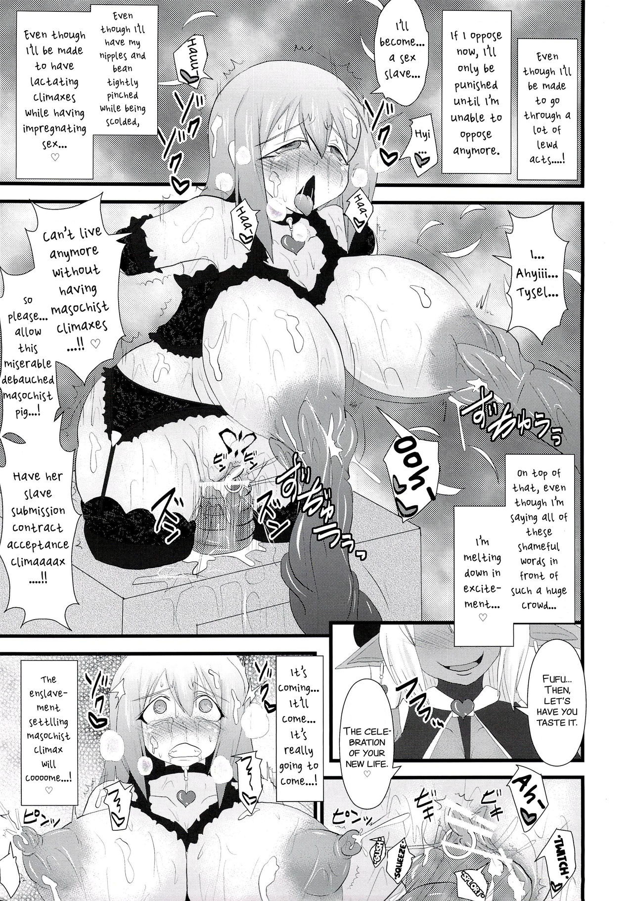 Shield Knight Elsain Vol. 14 "Succubus Ritual" - Page 27