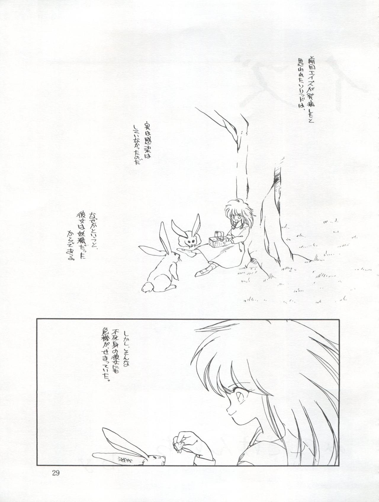 Tarikihonganji - Page 29