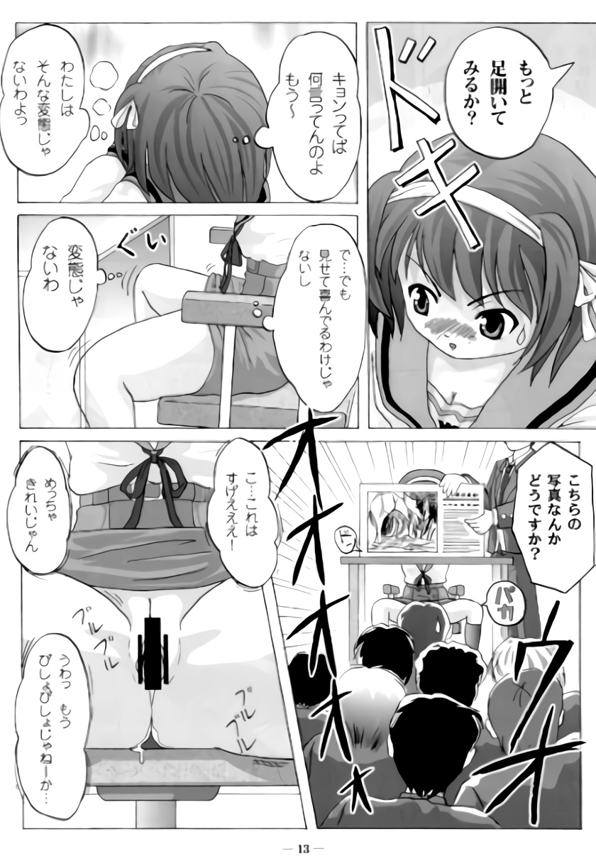 Suzumiya Haruhi no Shuuchi - Page 14
