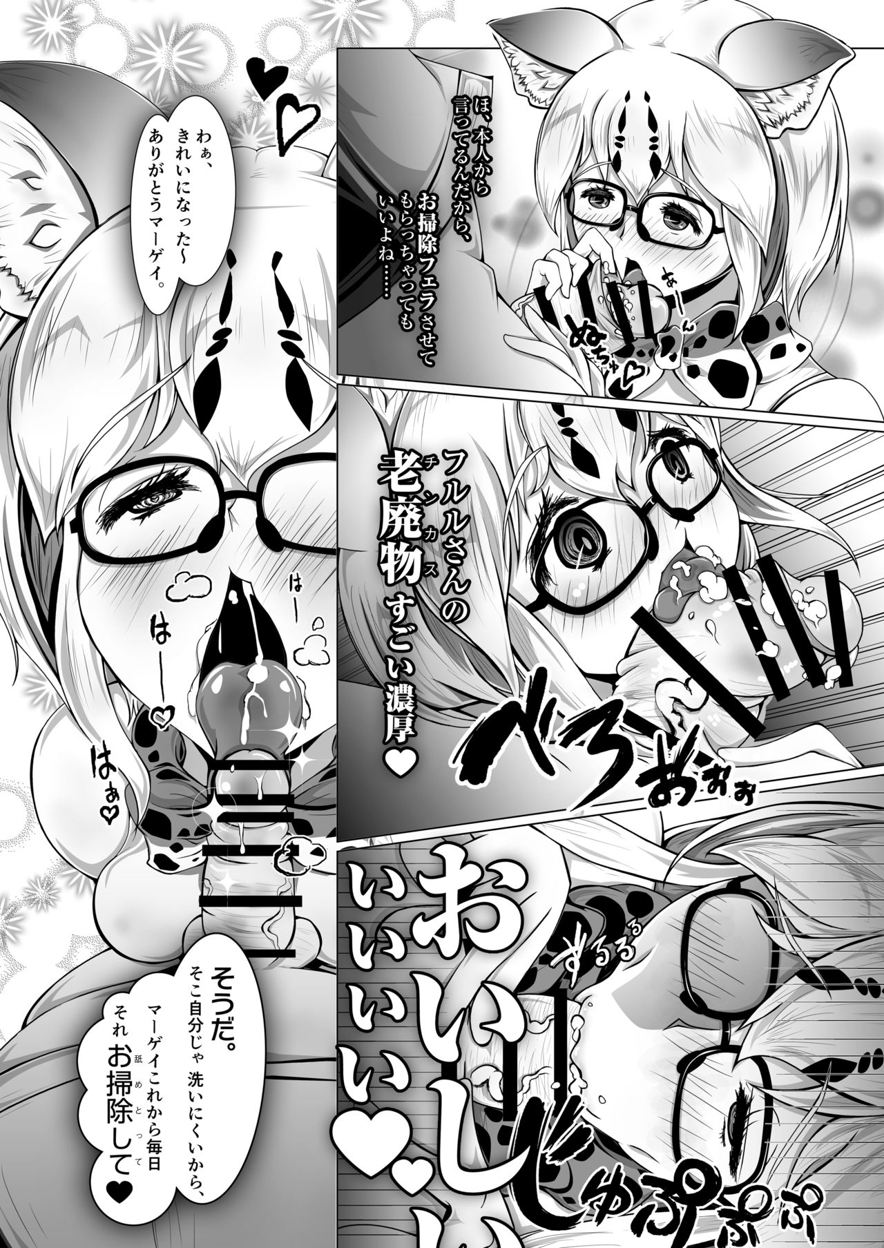 Margay no PPP Management - Page 15