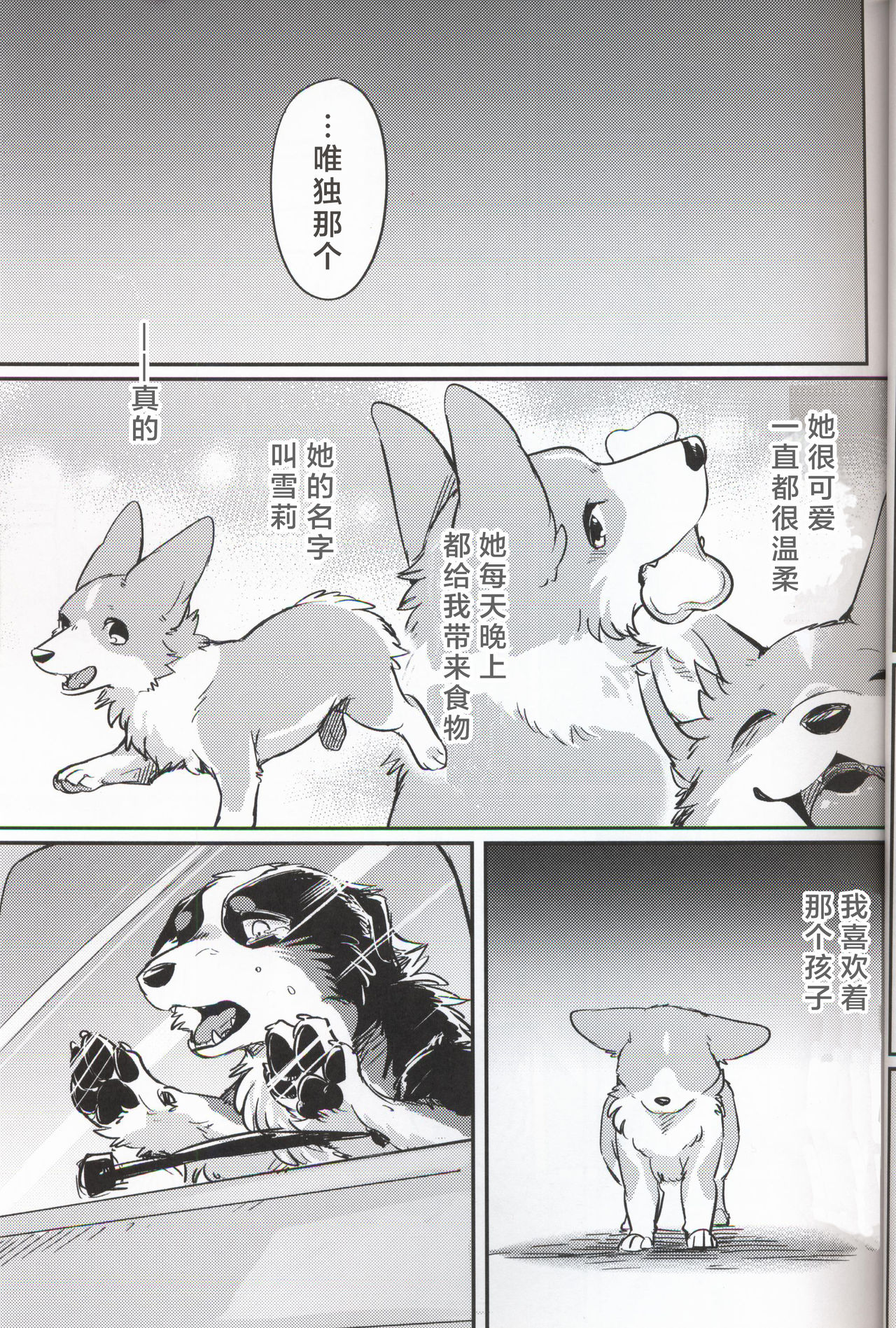 Usotsuki Tachi no " " | 讹言者们的“ ” - Page 11