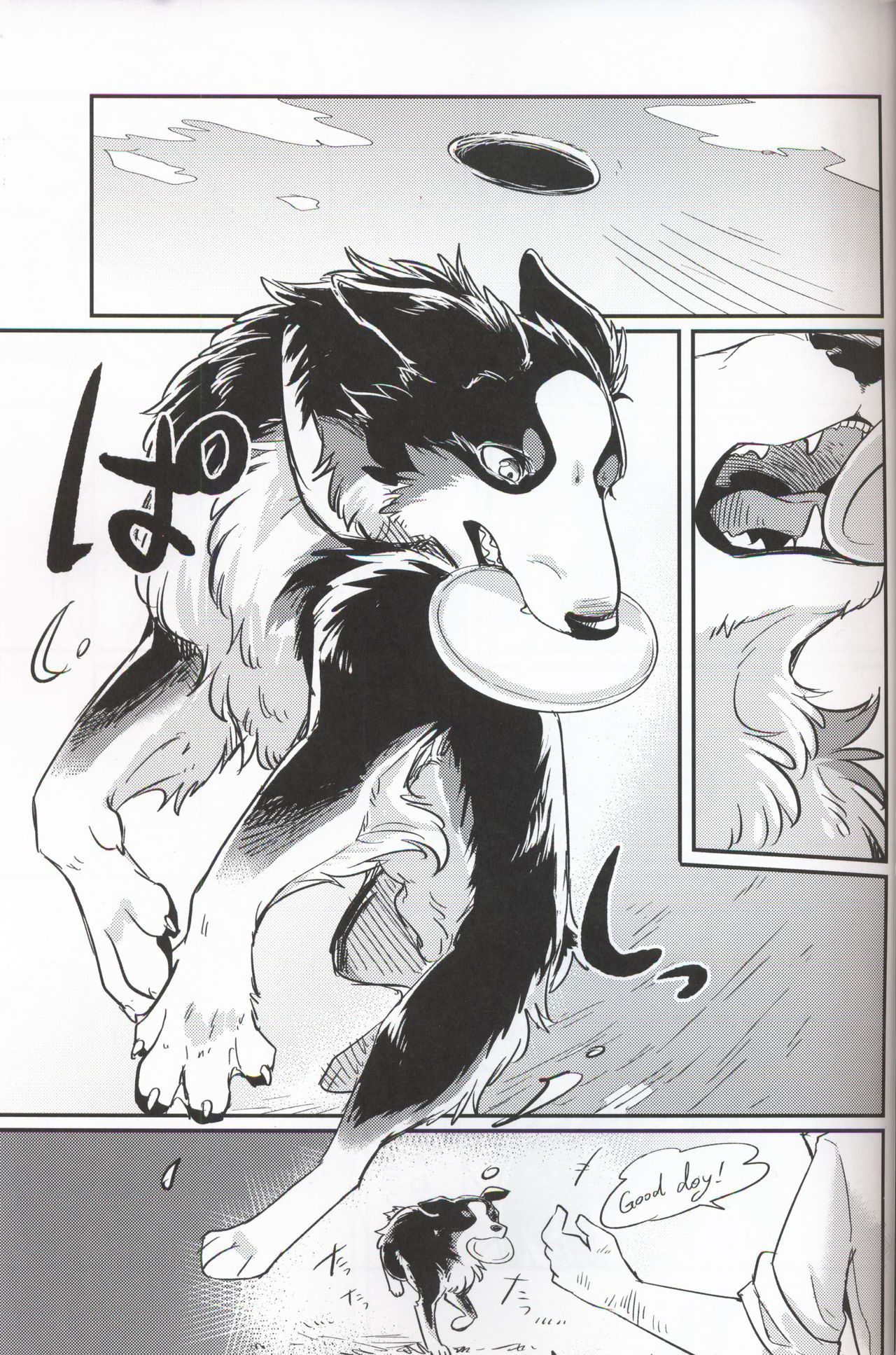 Preview page 7