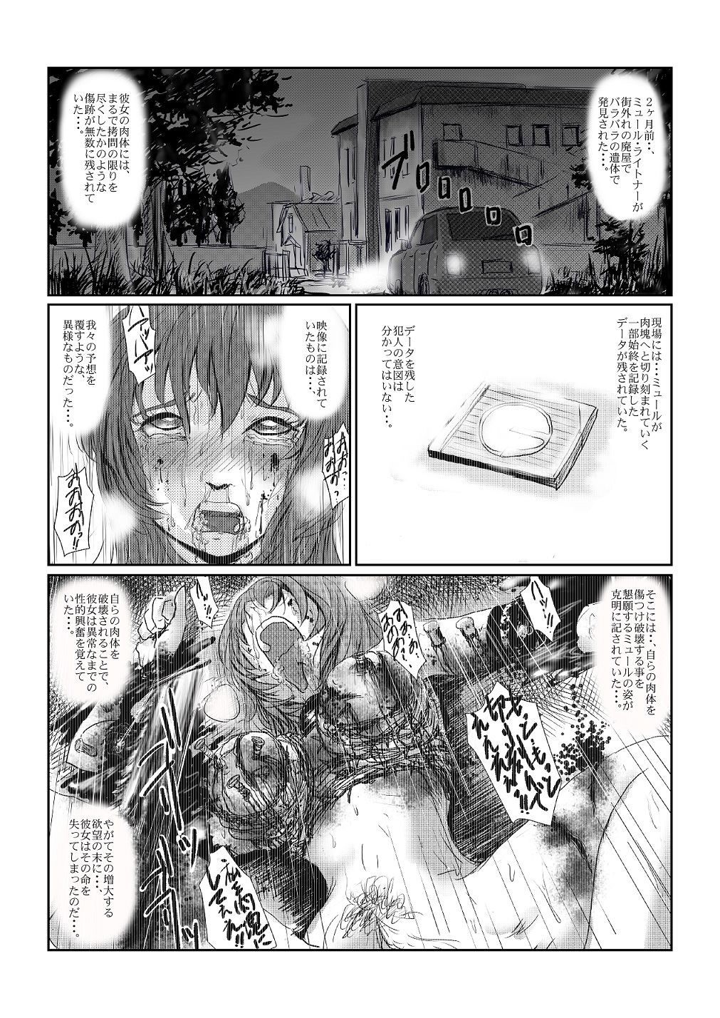 Preview page 2