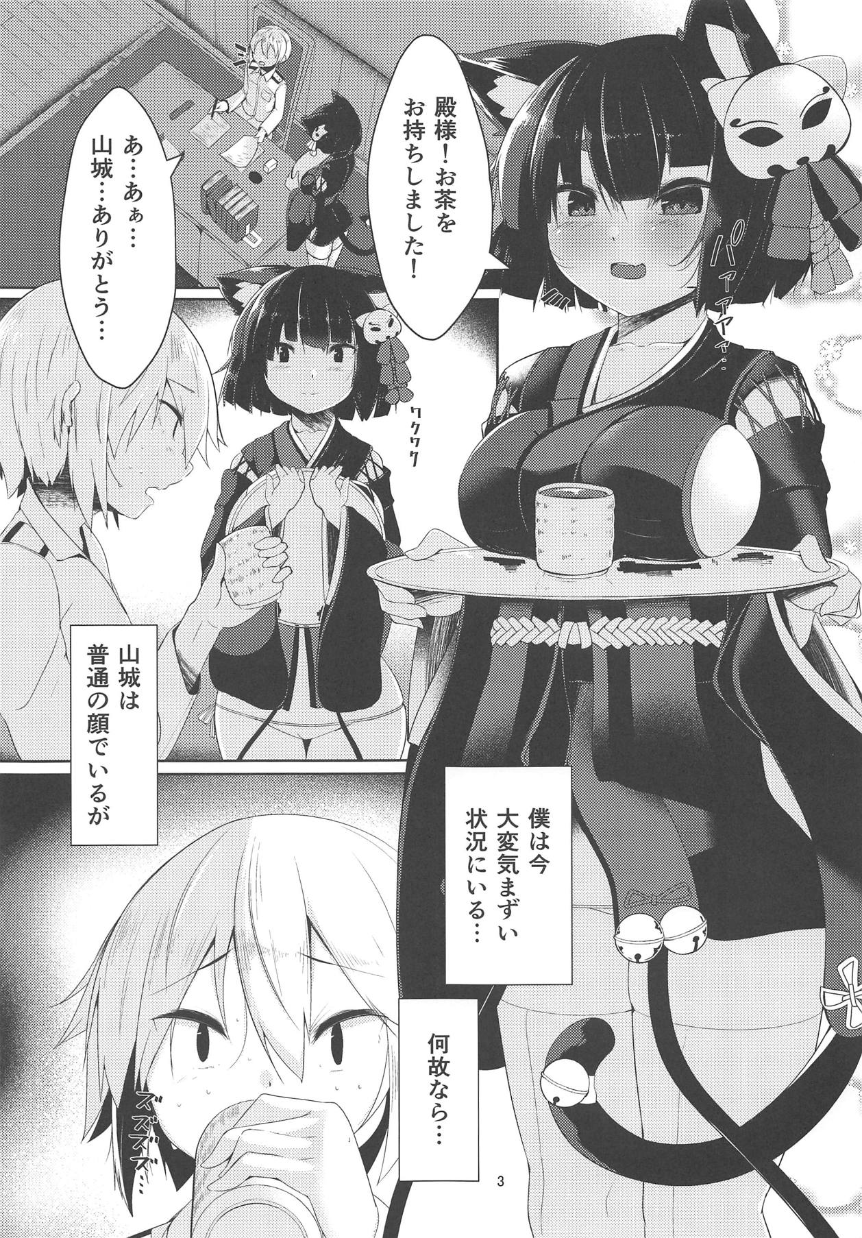 Preview page 2