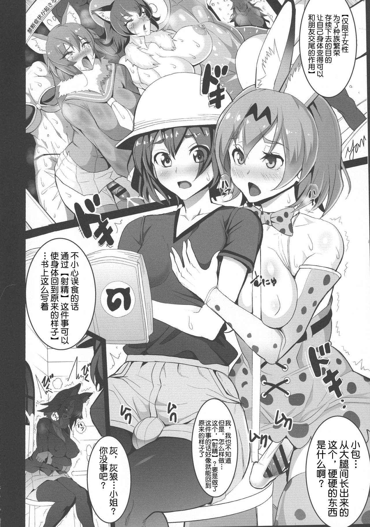 Preview page 5