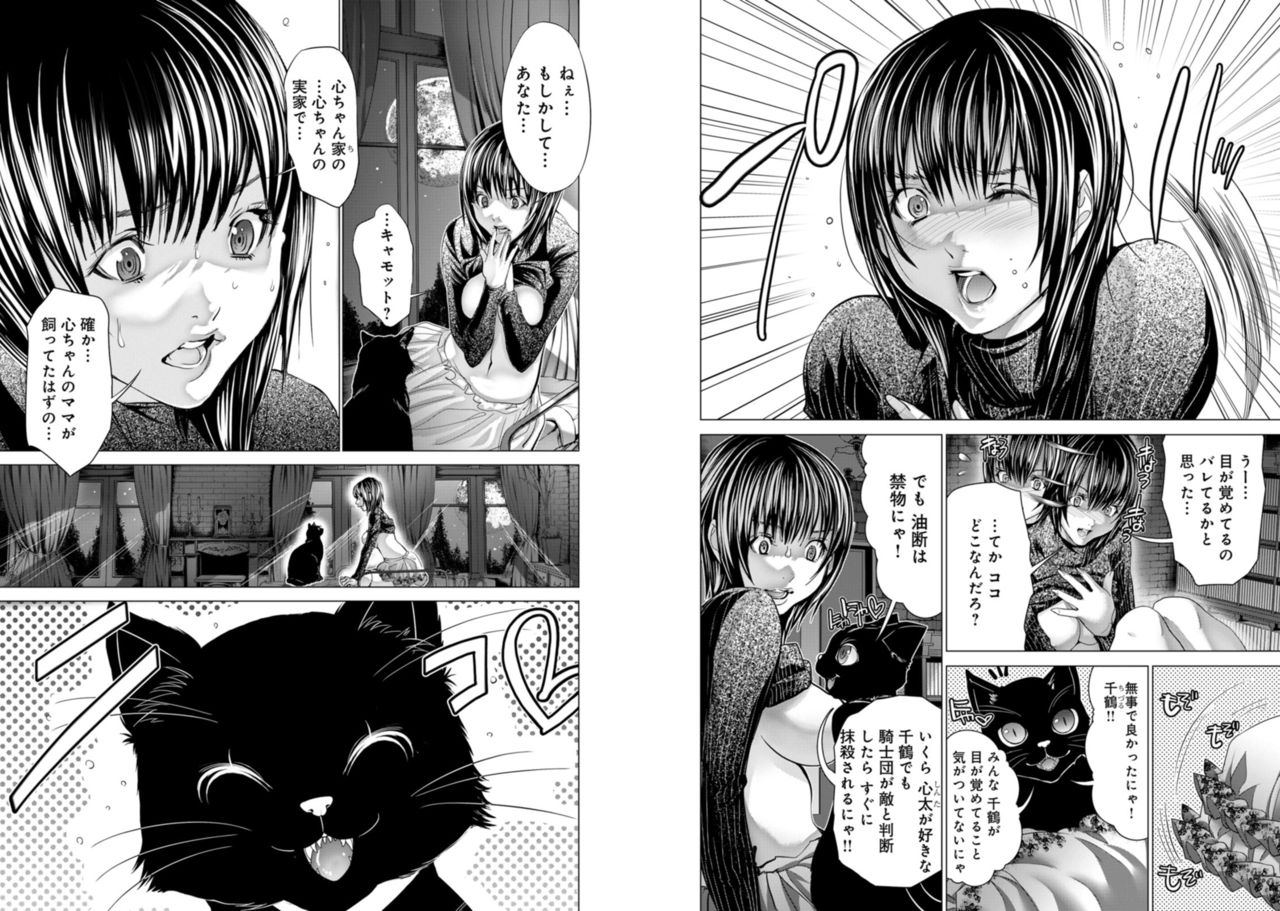 Holy Knight ~Junketsu to Ai no Hazama de~ Vol. 8 - Page 31