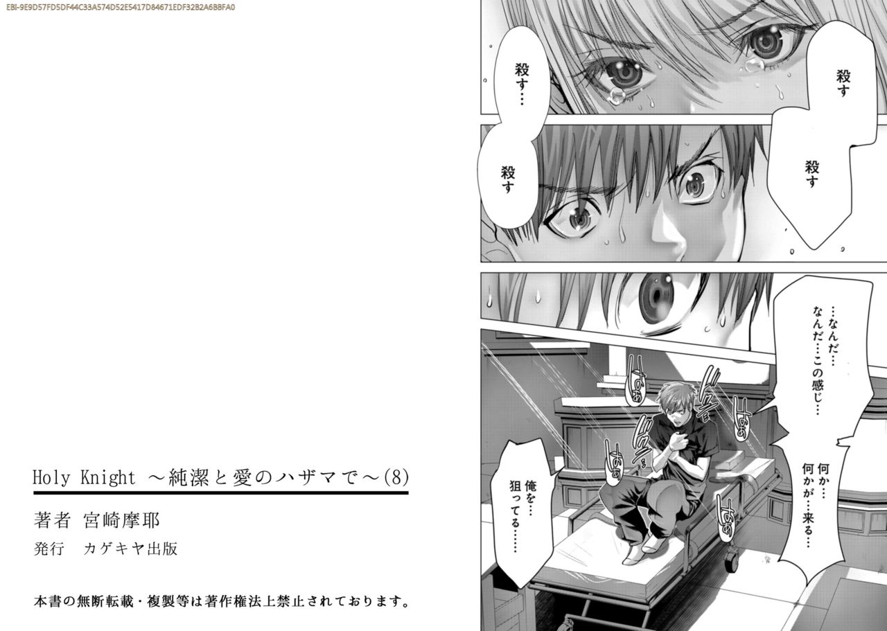 Holy Knight ~Junketsu to Ai no Hazama de~ Vol. 8 - Page 45