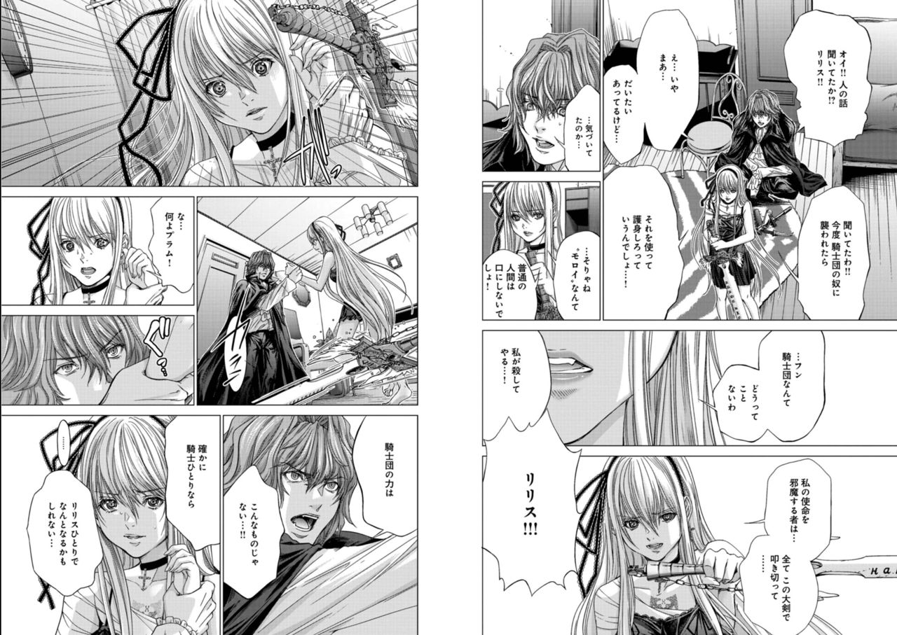 Holy Knight ~Junketsu to Ai no Hazama de~ Vol. 6 - Page 17