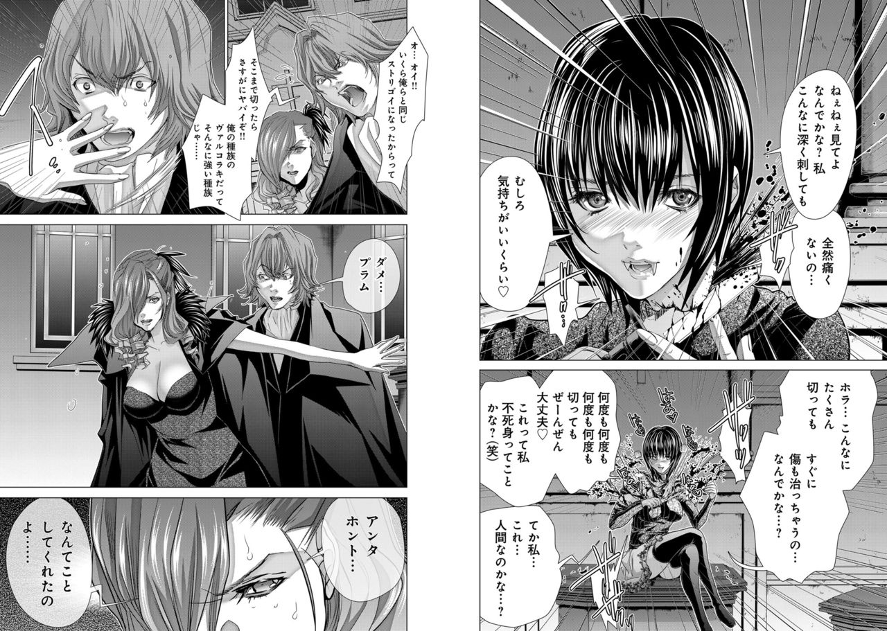 Holy Knight ~Junketsu to Ai no Hazama de~ Vol. 11 - Page 11