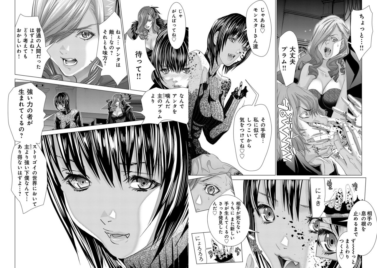 Holy Knight ~Junketsu to Ai no Hazama de~ Vol. 11 - Page 16