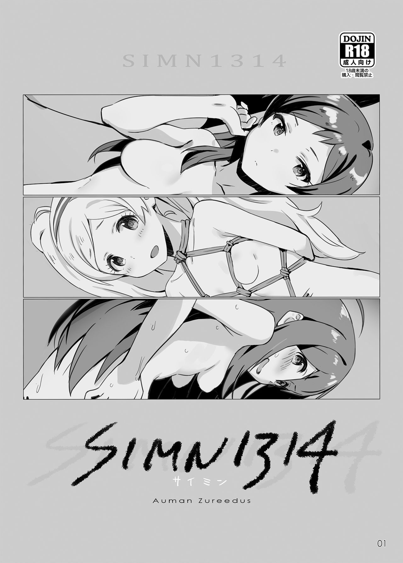 Preview page 1