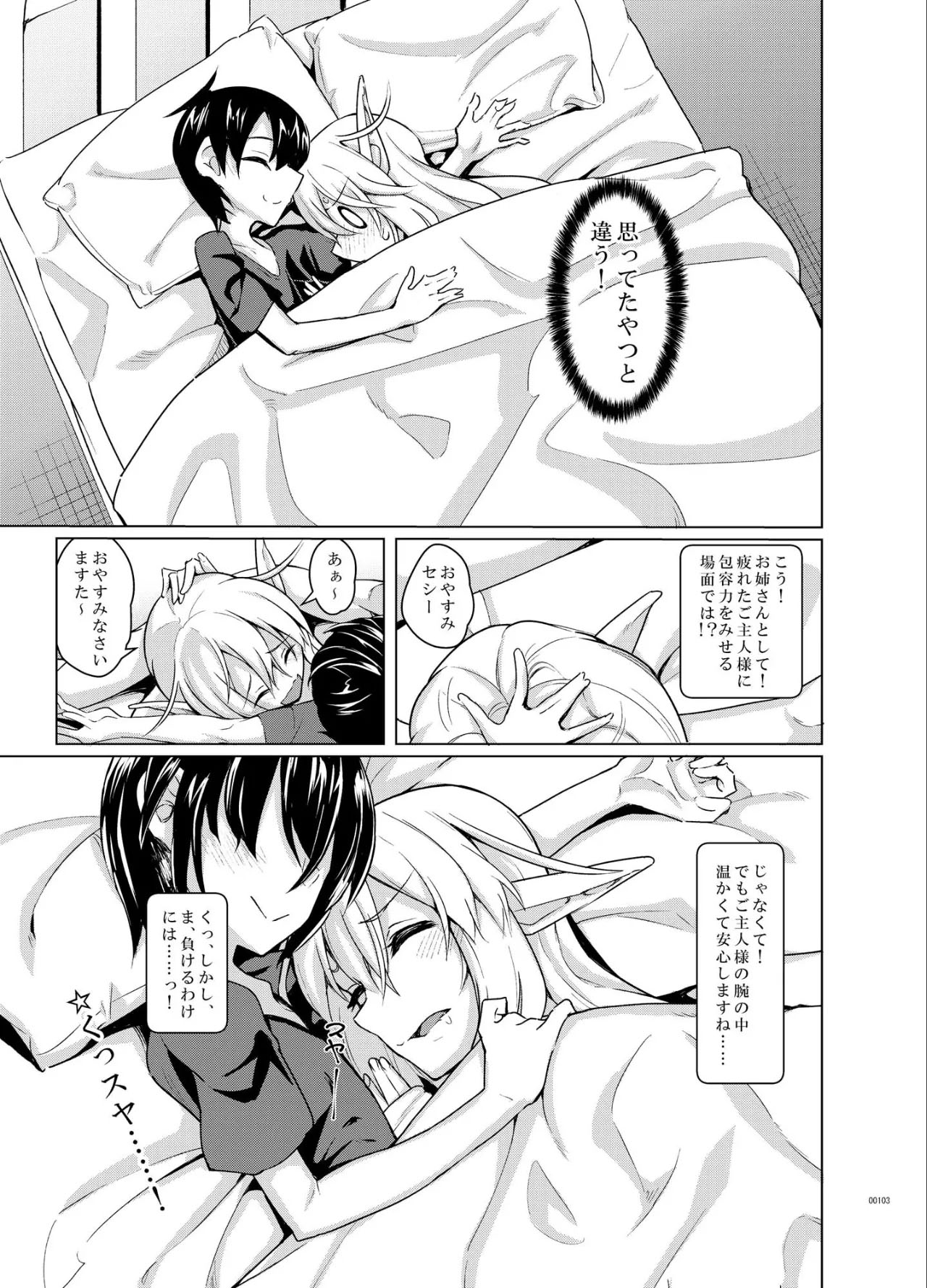Toaru Elf o Hikitorimashite Soushuuhen - Page 103