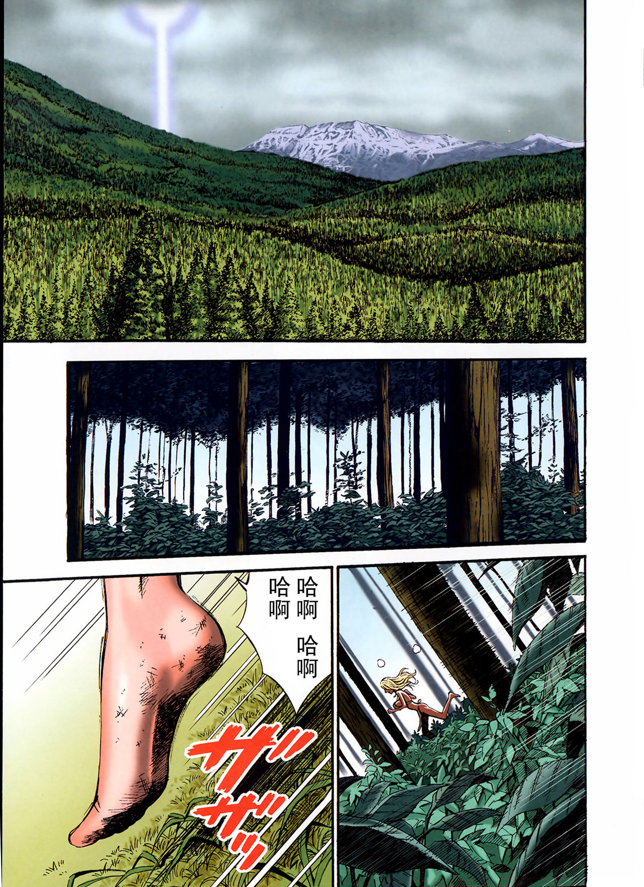 Preview page 2