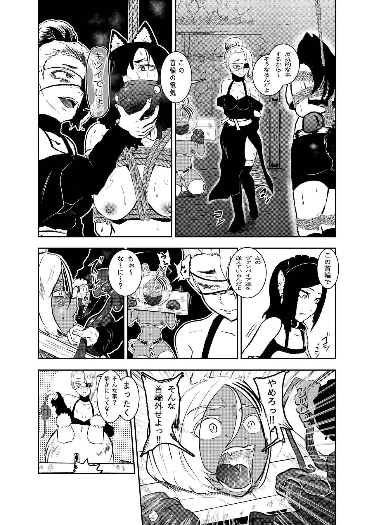 Vamparade 8 ~Shironeko Kuro Ookami Kousoku Hen~ - Page 11