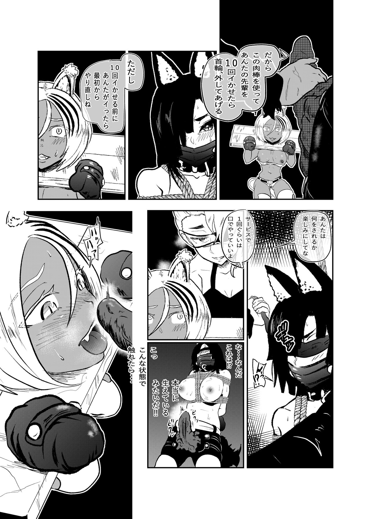 Vamparade 8 ~Shironeko Kuro Ookami Kousoku Hen~ - Page 13