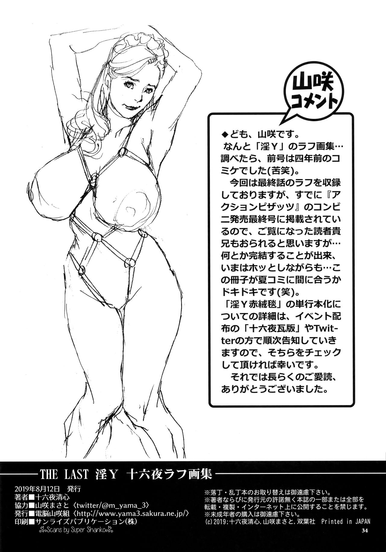 THE LAST InY Izayoi Rough Gashuu - Page 33