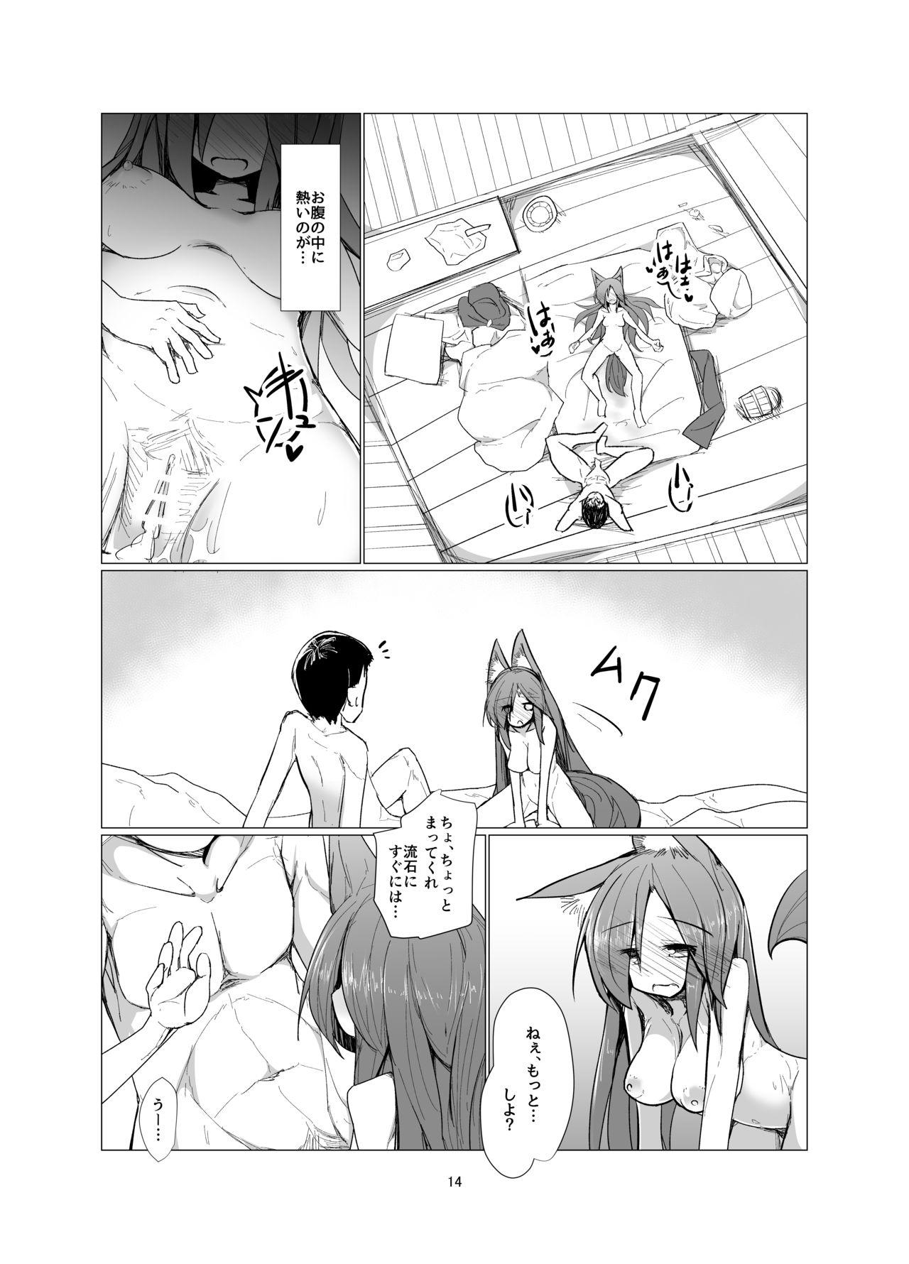 Yasai ga Sukina Nihon Ookami - Page 13