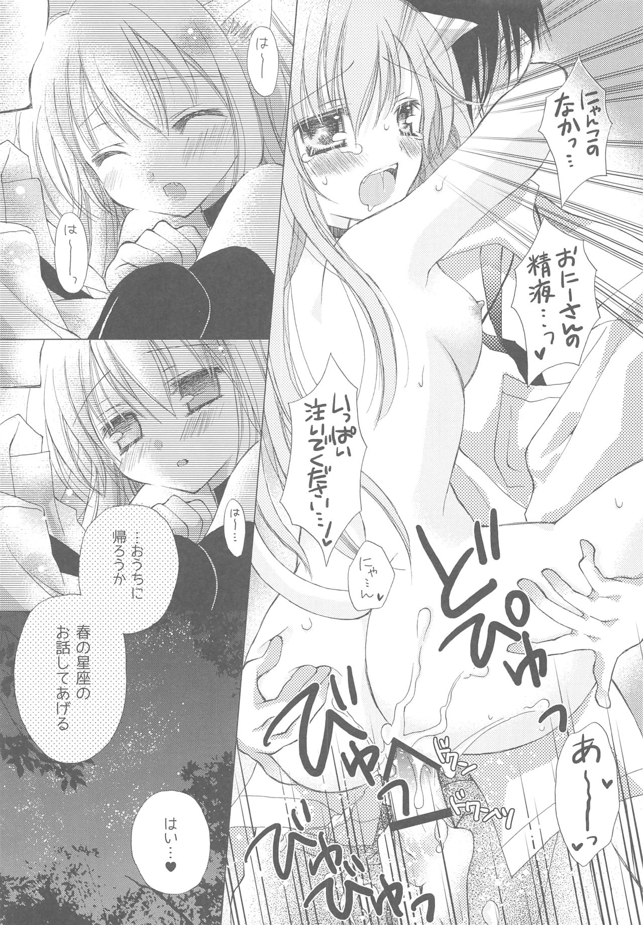 Onii-san to Nyanko Soushuuhen - Page 27