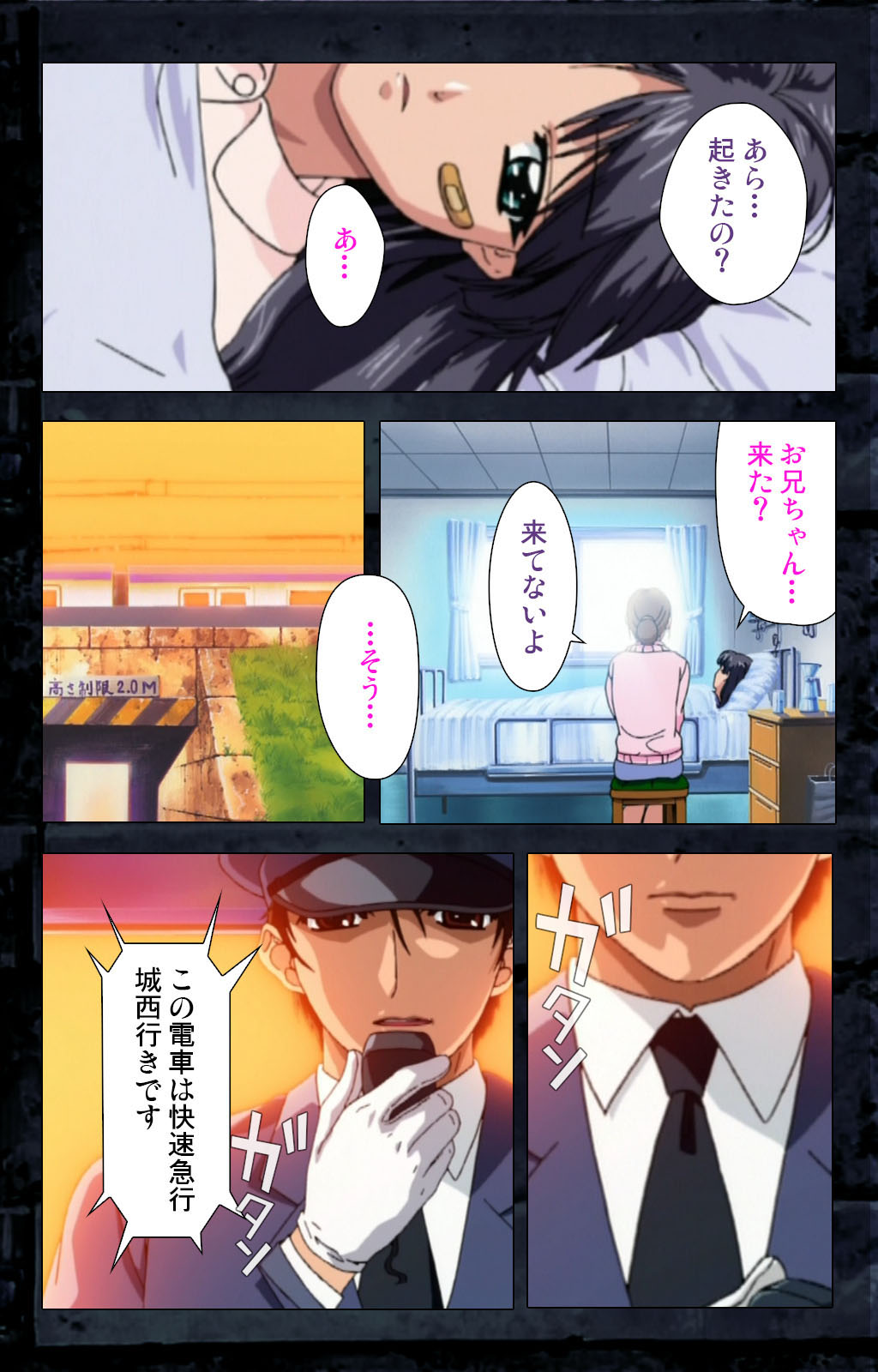 Saishuu Chikan Densha kanzenhan - Page 316
