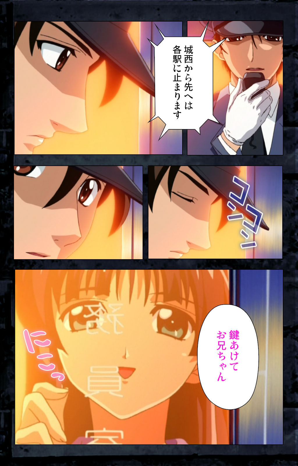 Saishuu Chikan Densha kanzenhan - Page 317