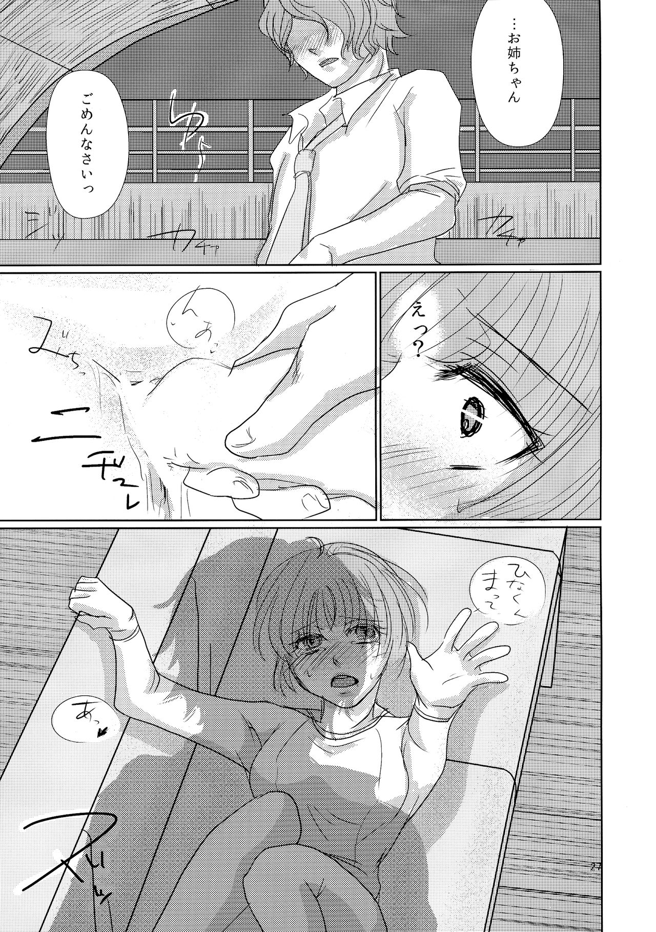 CSD - Page 27