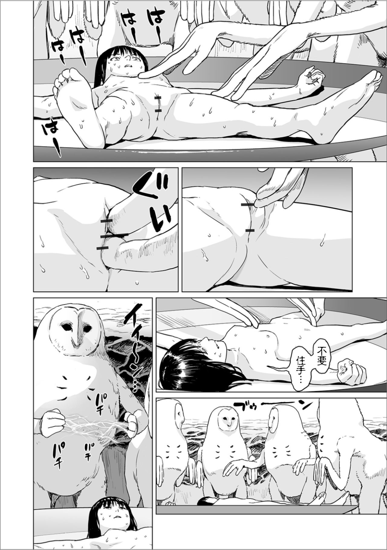 Fukurou no Yubi 丨貓頭鷹之指 - Page 17
