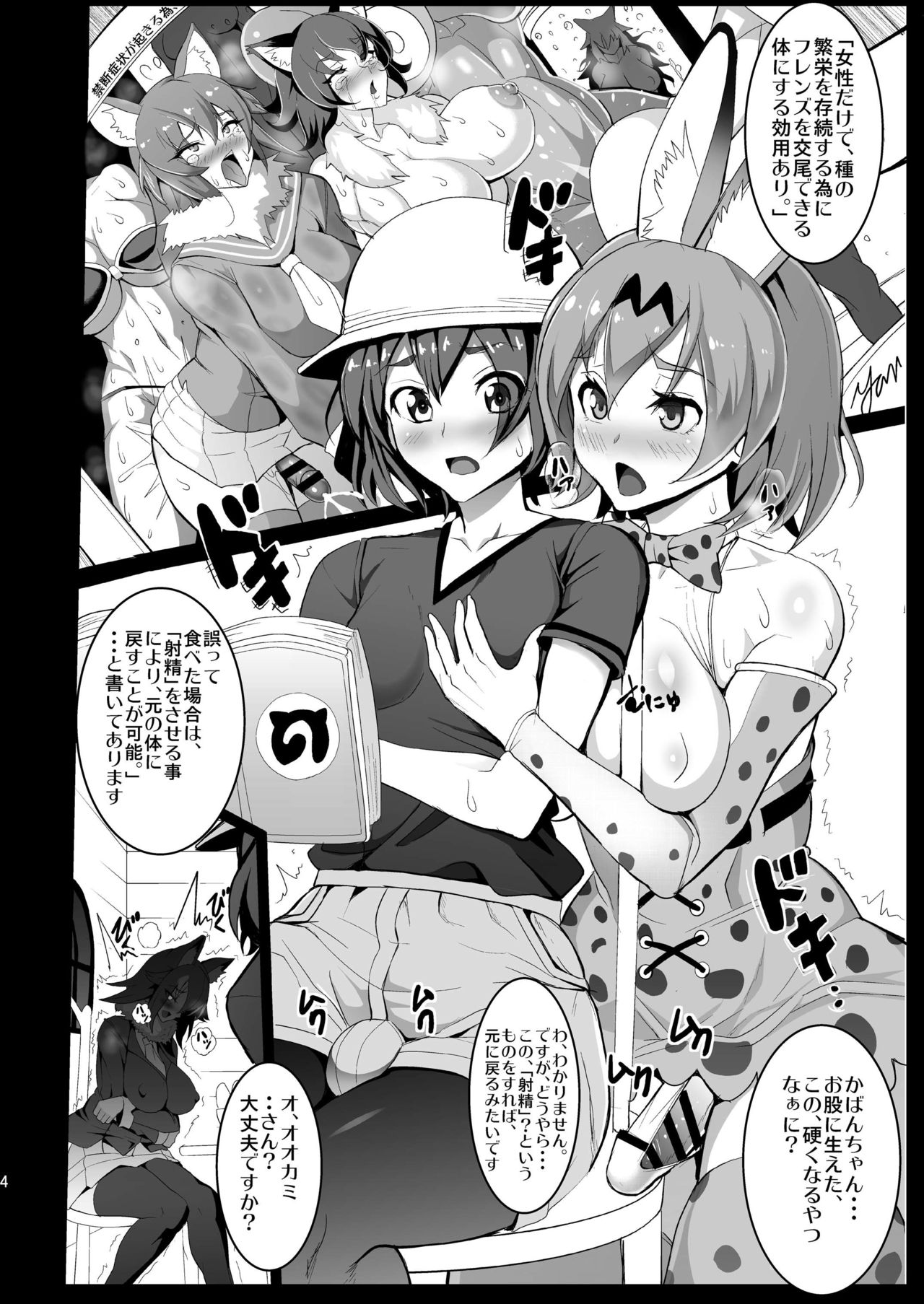 Preview page 4