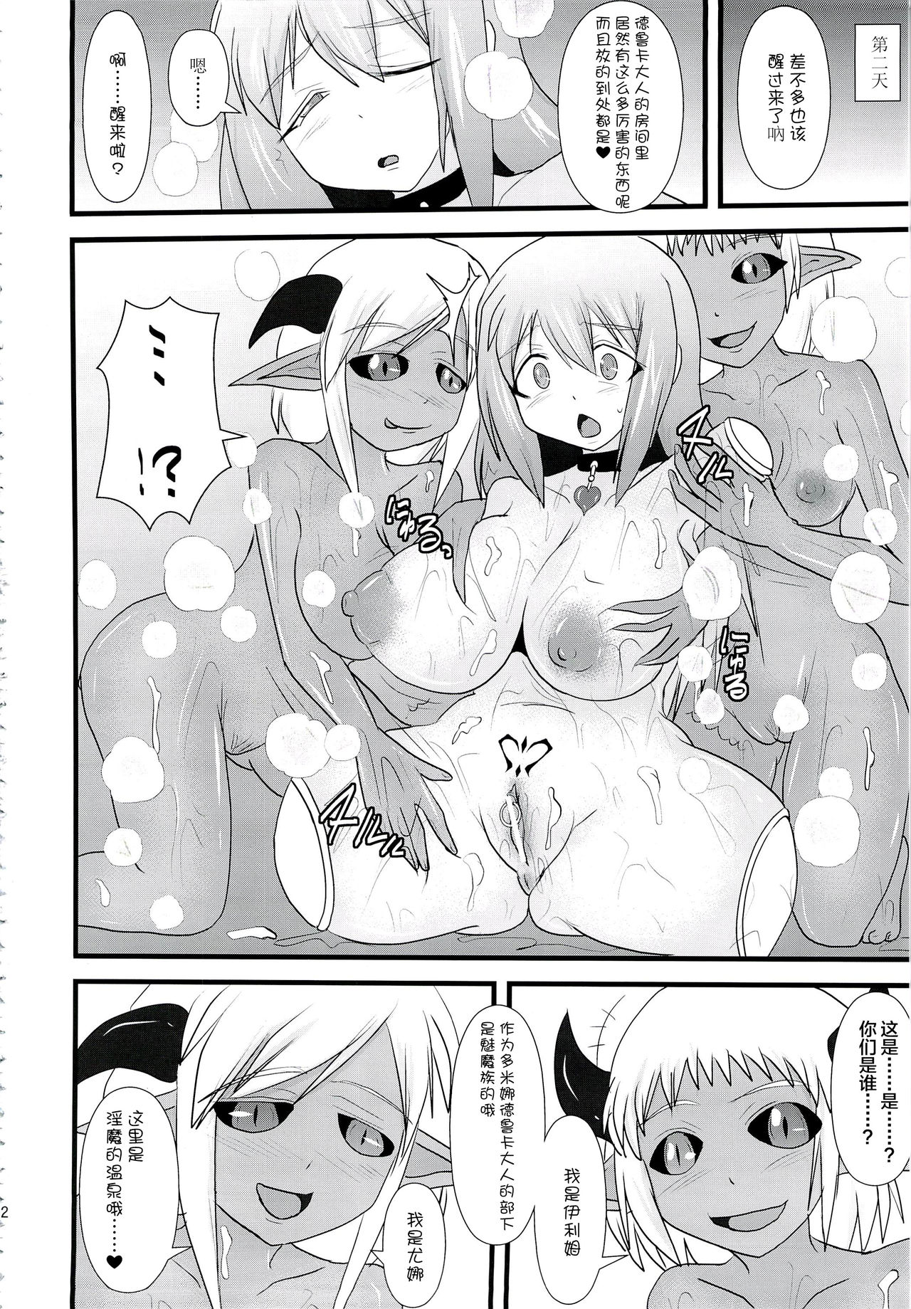 Shield Knight Elsain Vol. 14 Succubus Ritual - Page 11