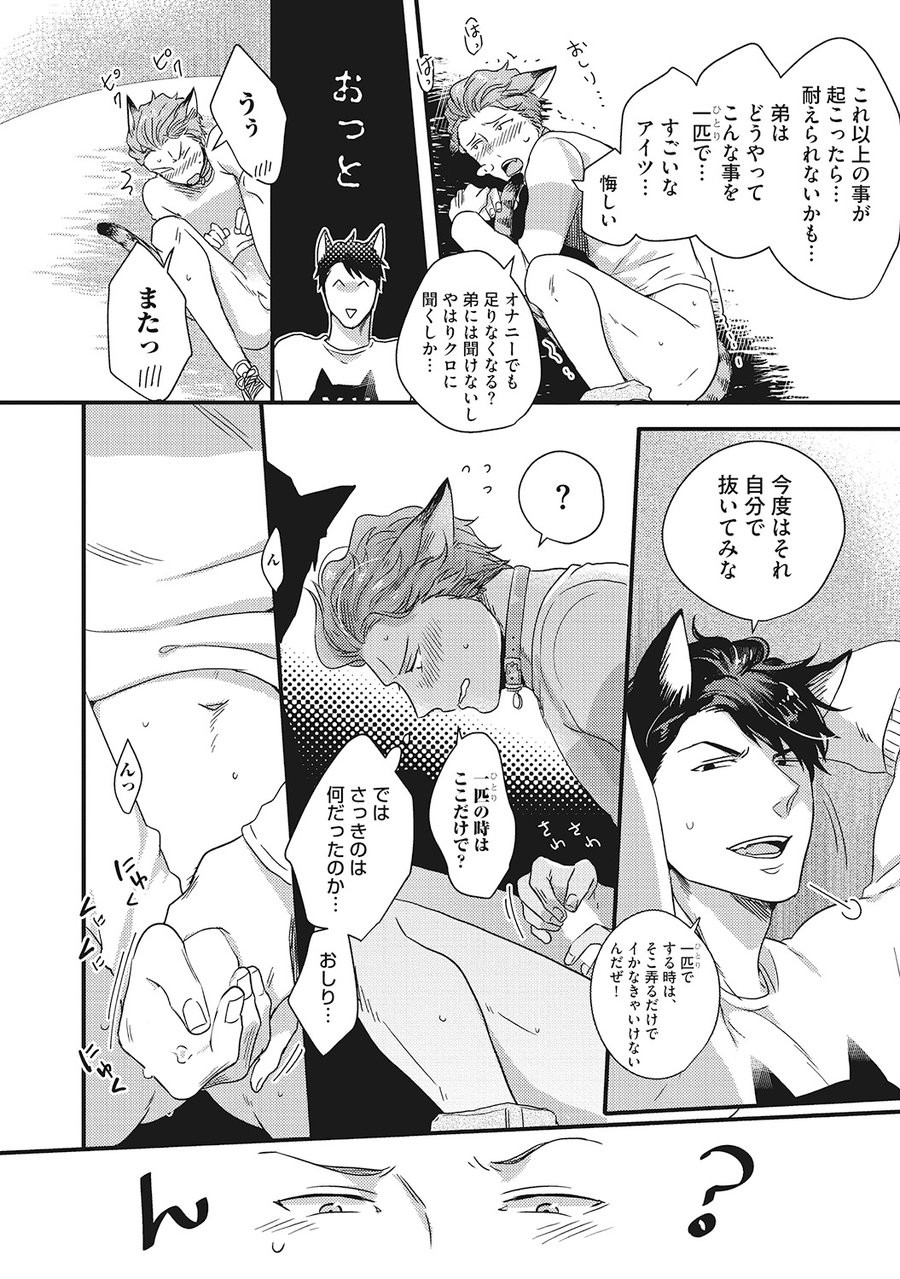 Hatsujou Kemono Biyori - Page 24