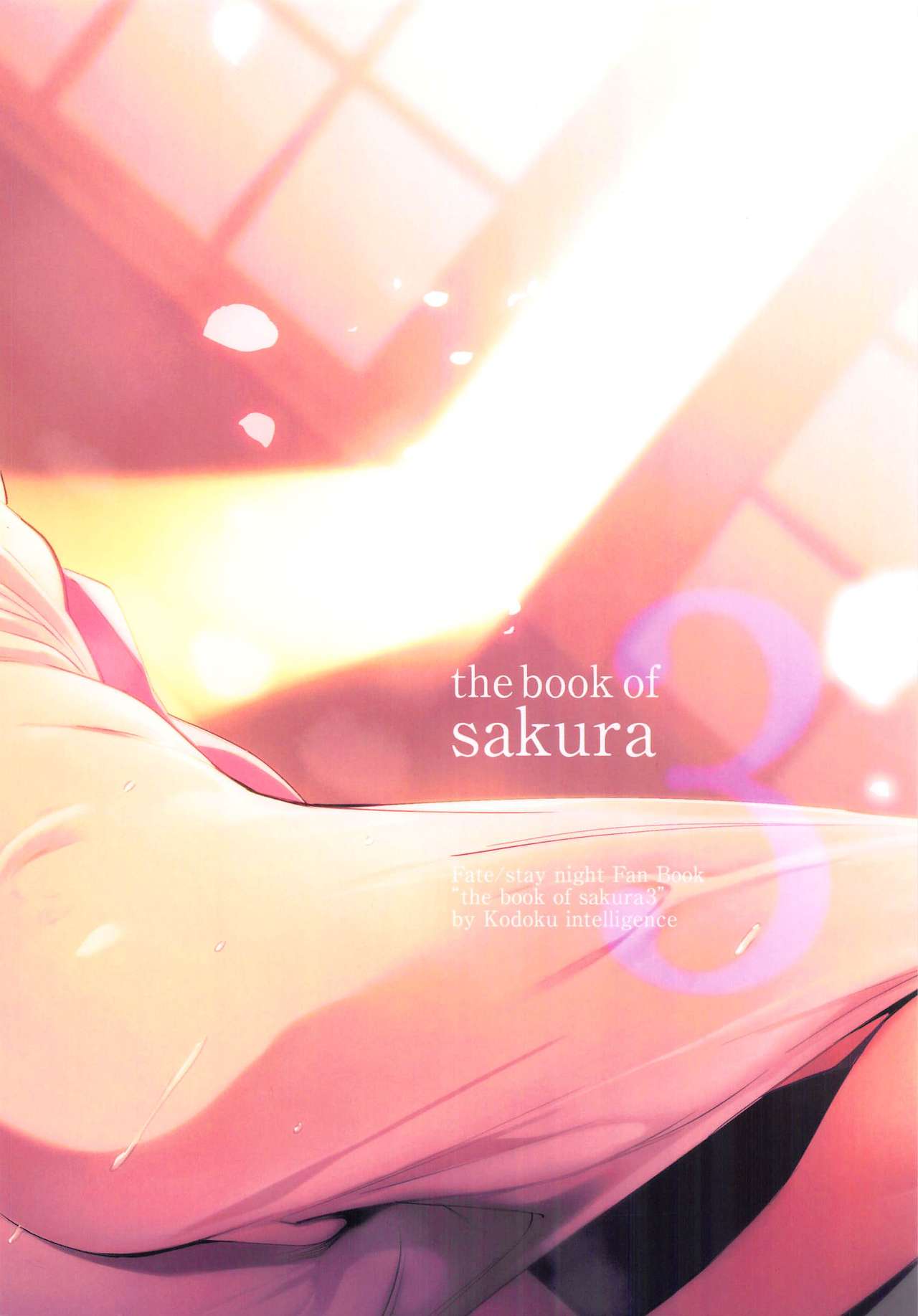 THE BOOK OF SAKURA 3 - Page 17