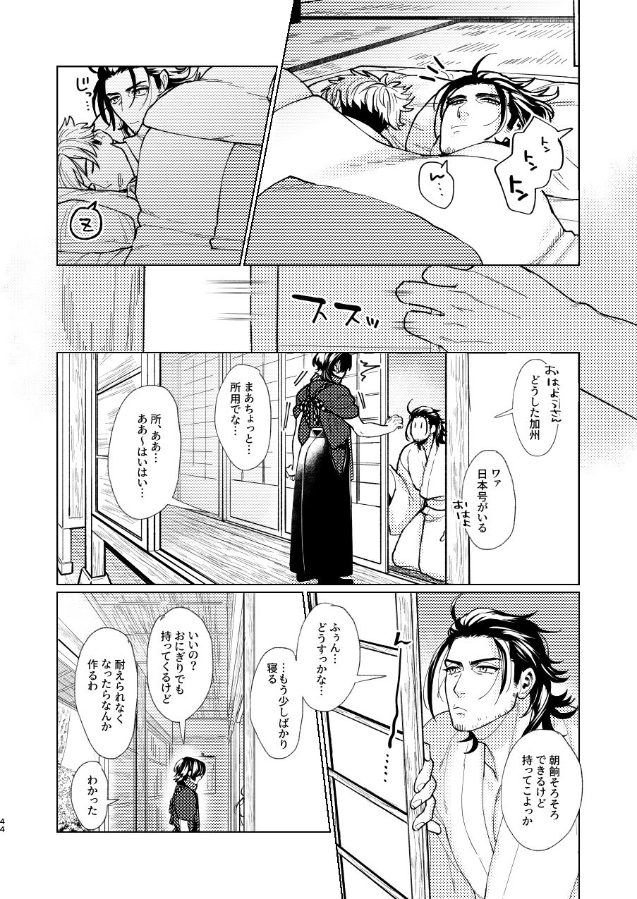 Nihongou-san to Saniwa no Hanashi - Page 45